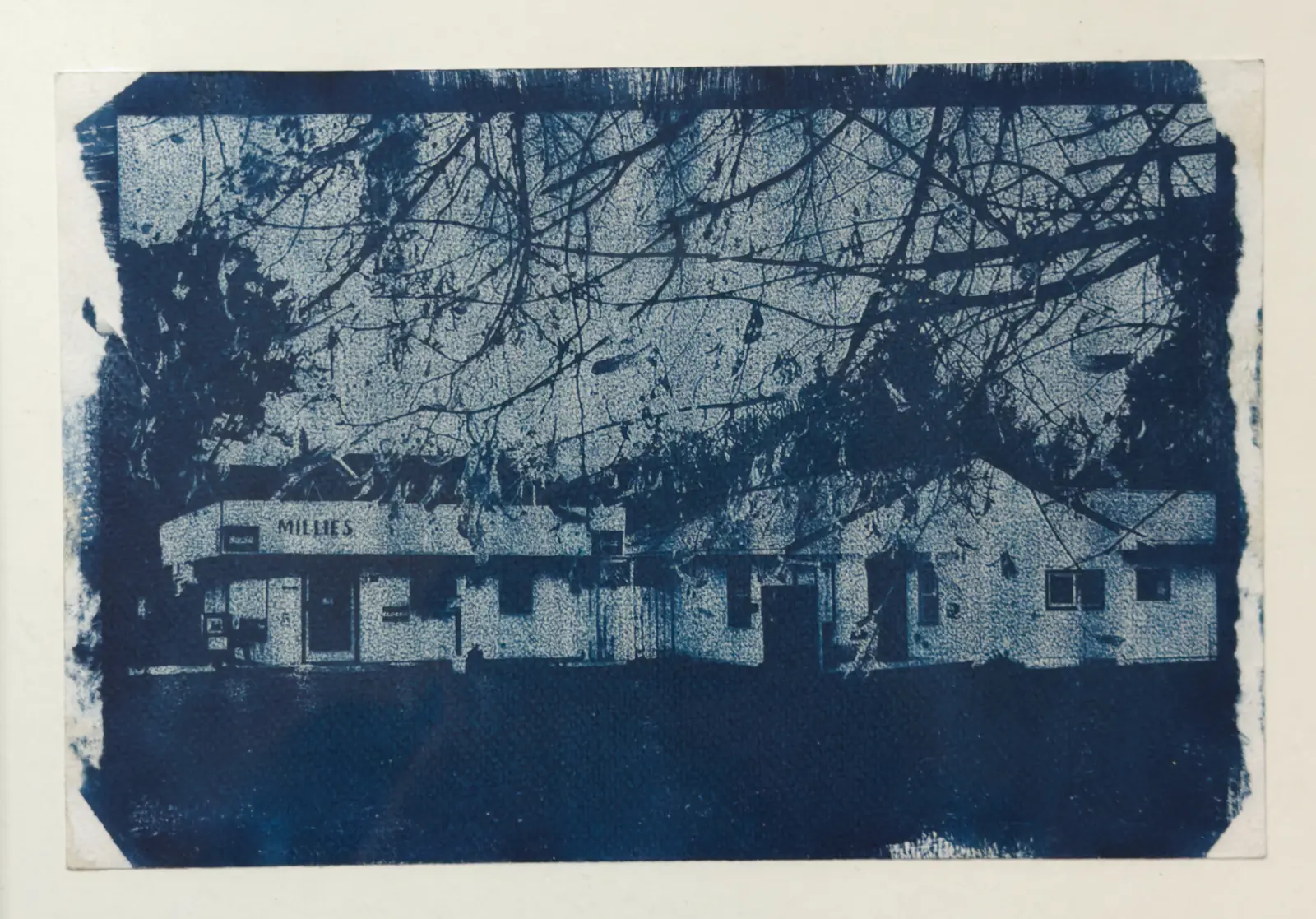 Cyanotype - Photo of Millie's sandwich shop, Grants Pass, Oregon